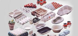 egg tray machine, egg box machine manufacturer, egg carton making machine, pulp tableware thermoforming machine, apple fruit tray, paper plate, pulp trays making machine, egg tray moulding machine